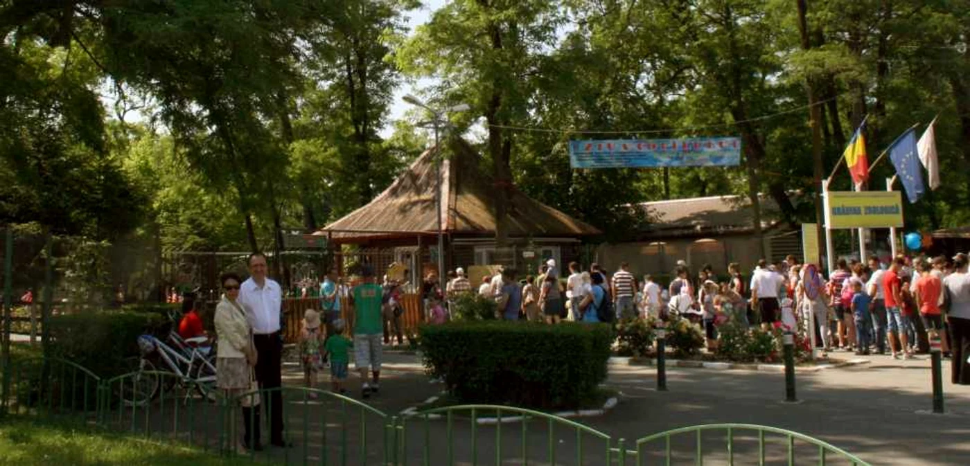 Grădina Zoologică din Râmnicu Vâlcea, de Ziua Copilului, Foto: Youtube
