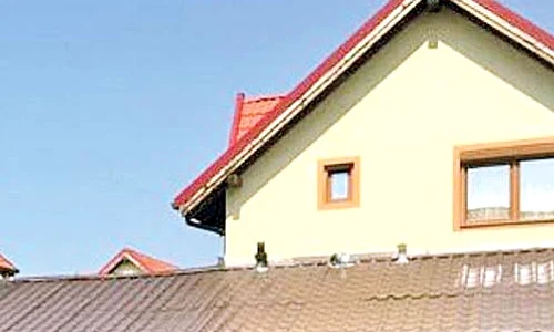 Casa din Dumbrăviţa  e mai nou mărul  discordiei dintre  mamă şi fiu jpeg