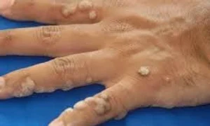 negi jurnalul  ro  jpeg