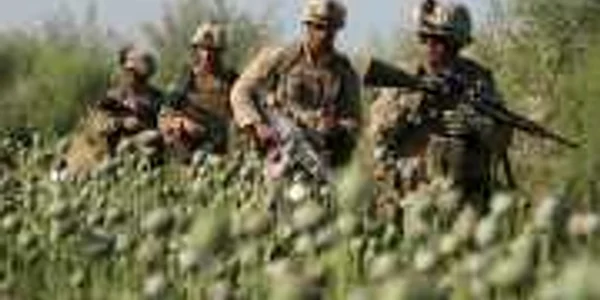 soldati nato culturi de mac afganistan
