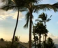 Raluca Lazarut Horatiu Boeriu vacanta Hawaii (19) jpeg