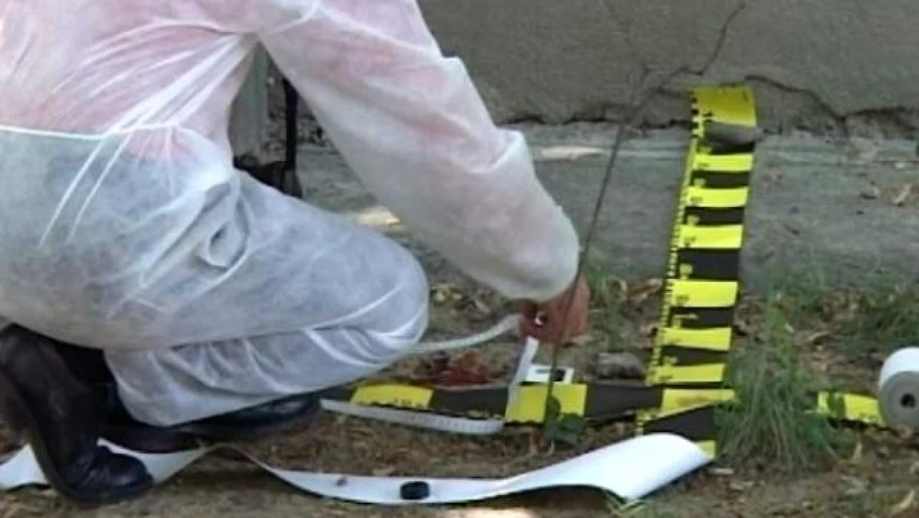Gălăţeanul locuieşte în Satu Mare, zona Prilog Vii, unde activează ca şi cioban FOTO  mesagerul.ro