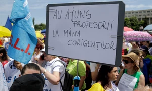 Protest educatie Foto Inquam Photos Octav Ganea (3) jpg
