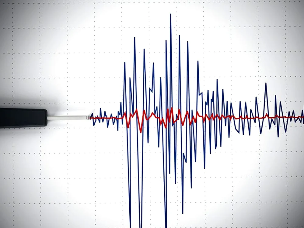 
    Un seism cu magnitudinea de 6,6 grade pe scara Richter a avut loc în Mexic   