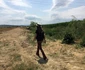 IMG 2428 jpeg