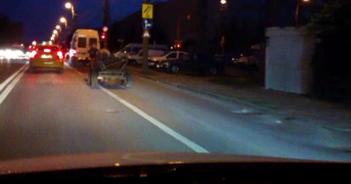 Caruţa trasă de calul scăpat de sub control. FOTO Adrian Boioglu
