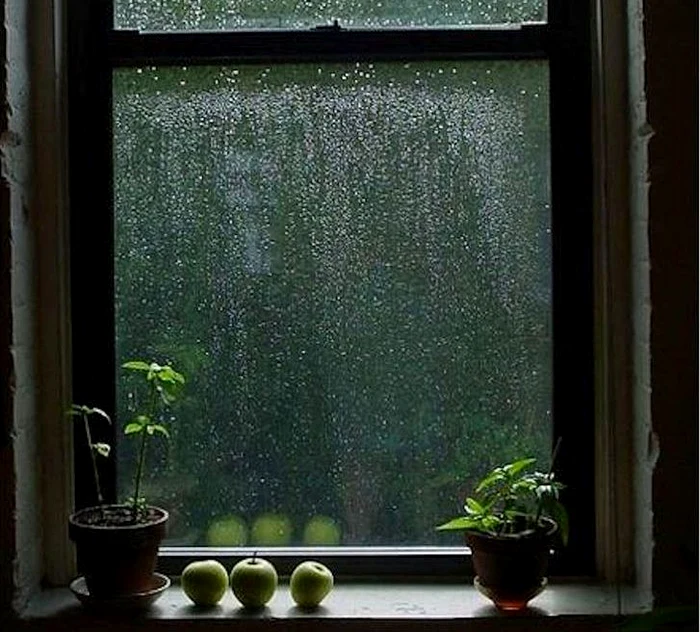 
    Zilele ploioasă nu trebuie să fie un motiv de tristețefoto: pinterest.com  