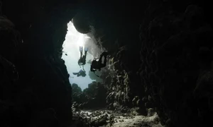 franziska stier cavediving 10043625 jpg