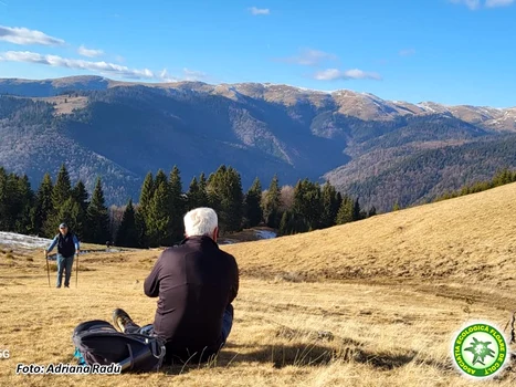 Marea „desarmalizare” pe masivul Leaota. FOTO Chindia Jurasic Park