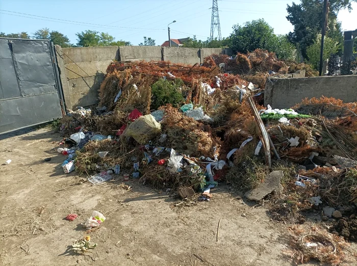 Rampă de gunoi clandestină în Timișoara FOTO Primăria Timișoara