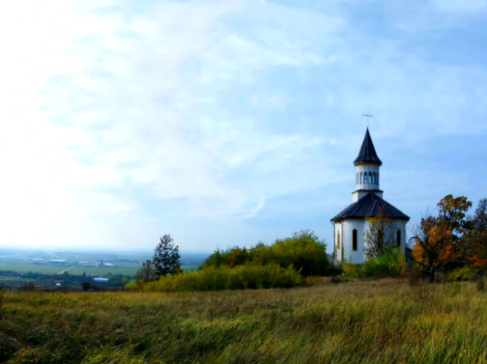 Biserica de pe Dealul Viilor din Lugoj Sursa Panoramio