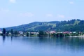 DSCF5056 jpg