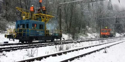 brasov copac cazut cale ferata
