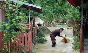 2 salaj4 25col 150 jpeg