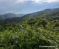 Privelisti de pe Transalpina Pădurenilor Foto Daniel Guță (14) jpg
