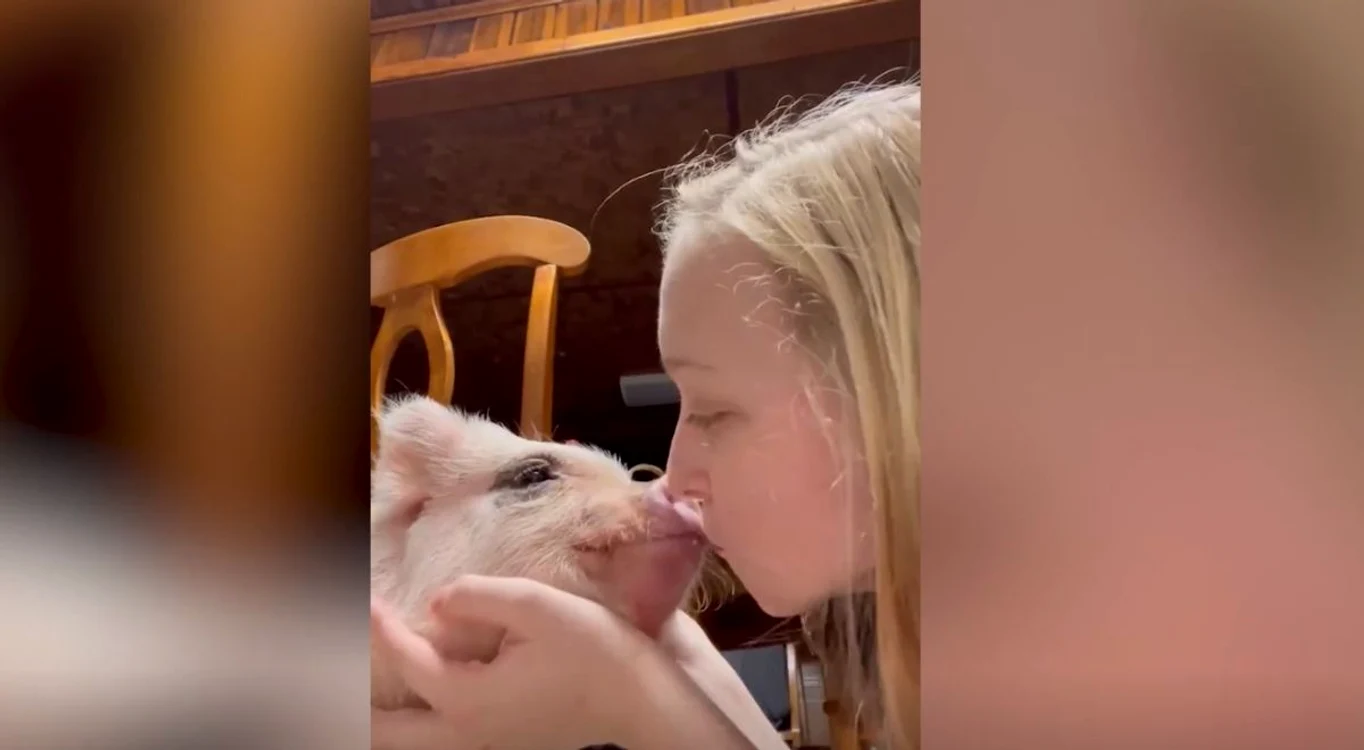 Alexis o pupă pe rât (Foto: captură video New York Post)