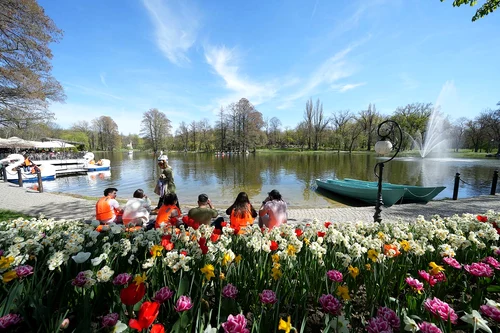 Parcul Nicolae Romanescu