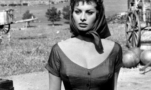 sophia loren kosty555 info 364 jpeg