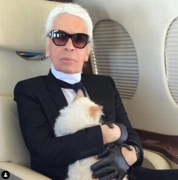 1 karl lagerfeld jpg jpeg