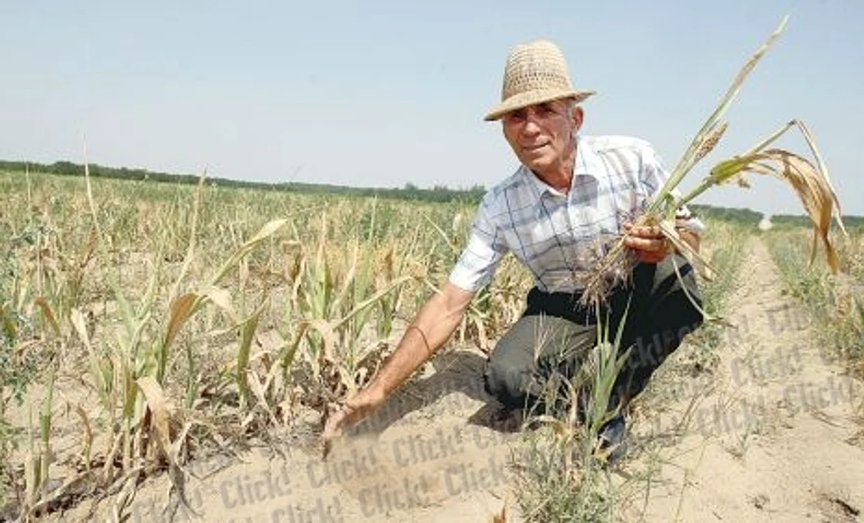 Octavian Dârviş s-a îmbrăcat ca în Deşertul Sahara (Fotografii: DORIN CONSTANDA)