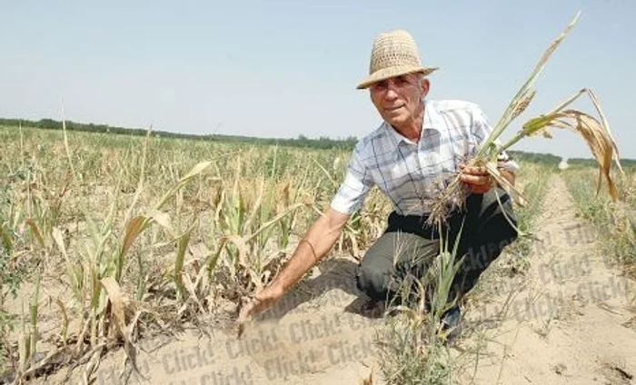 Octavian Dârviş s-a îmbrăcat ca în Deşertul Sahara (Fotografii: DORIN CONSTANDA)