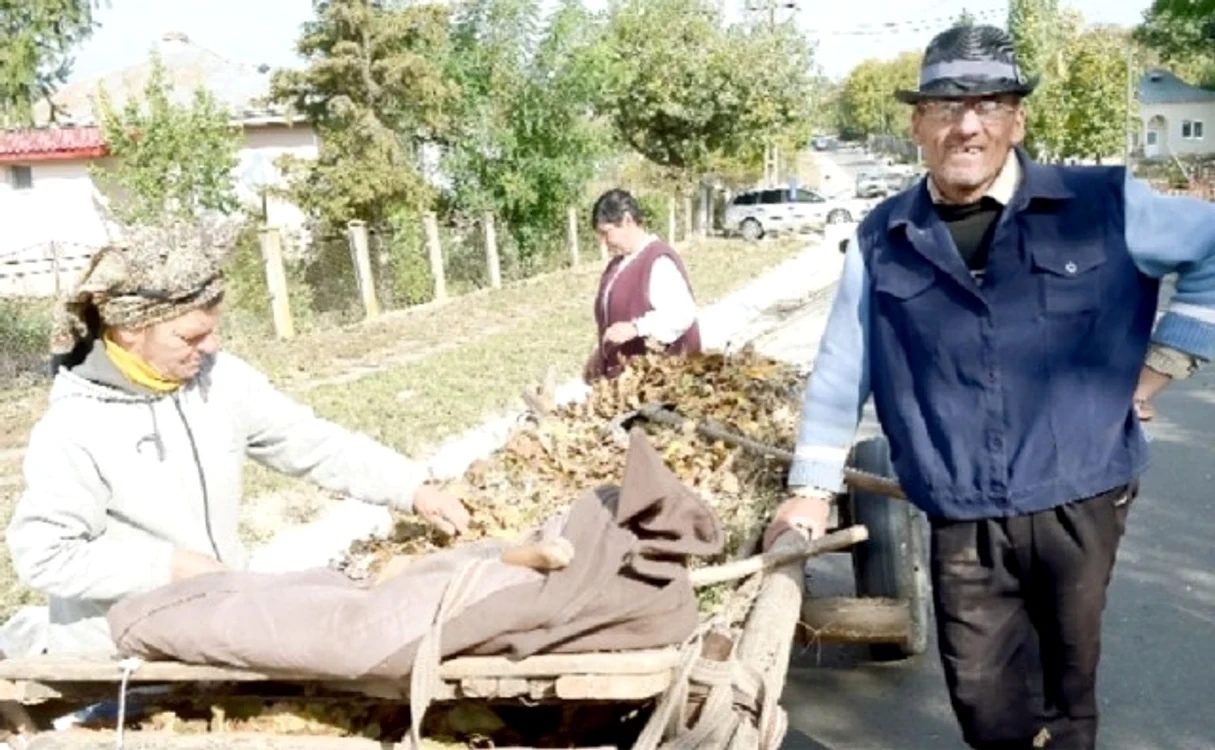 Locuitorii din Erbiceni nu ştiu despre titlurile de cetăţean de onoare acordate: "Ei între ei acolo, noi cu grijile noastre"Foto: Ziarul de Iaşi