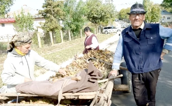 
    Locuitorii din Erbiceni nu ştiu despre titlurile de cetăţean de onoare acordate: "Ei între ei acolo, noi cu grijile noastre"Foto: Ziarul de Iaşi  
