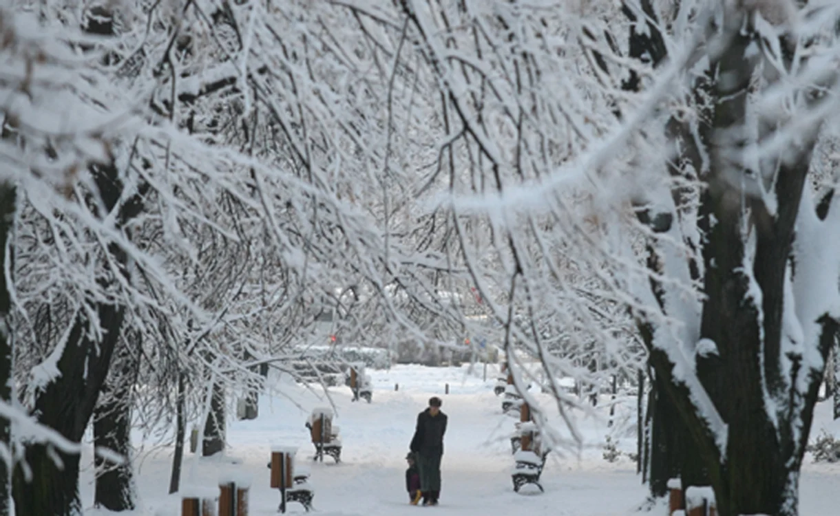 Timişoara: Parcul Civic