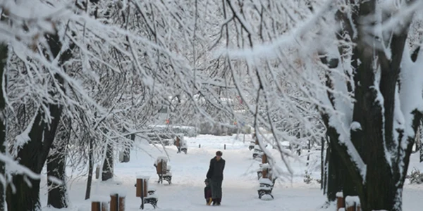Timişoara: Parcul Civic
