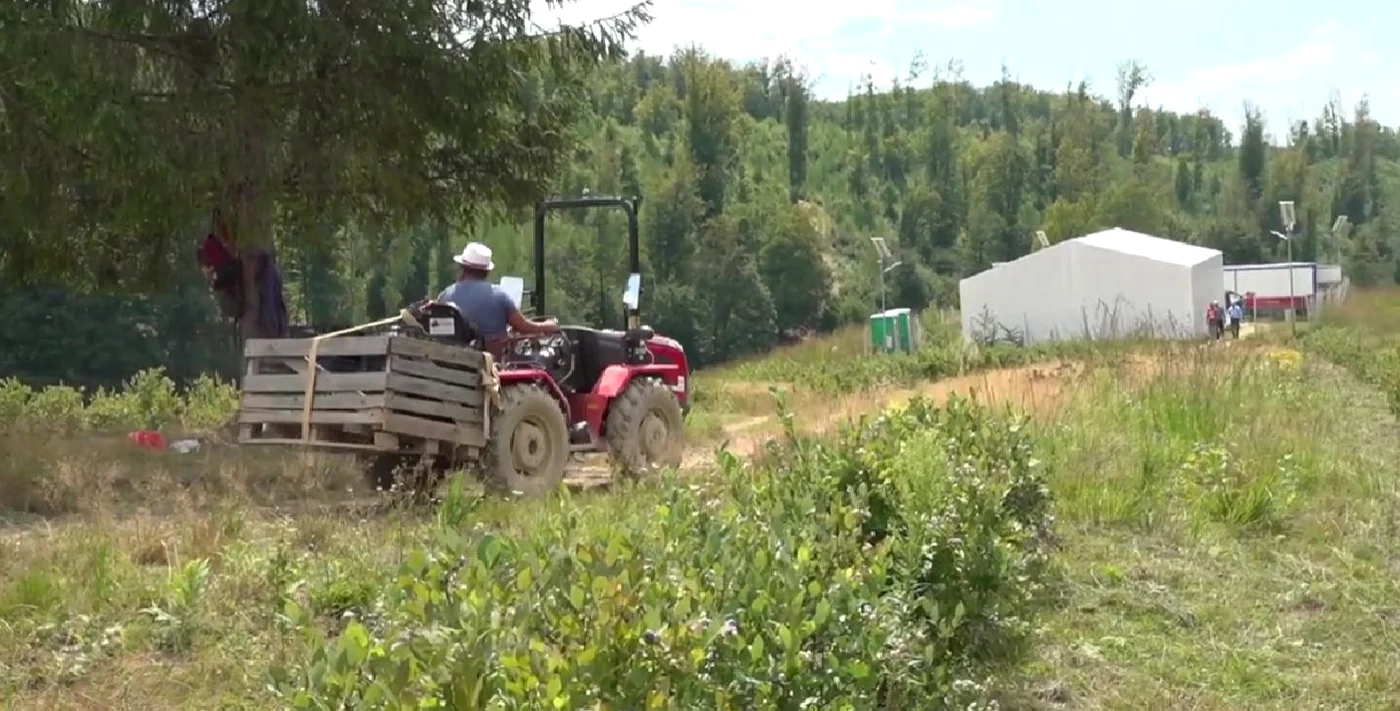 Fermierii vor primi srijin mai consistent de la EU FOTO: Adevărul 9arhivă)