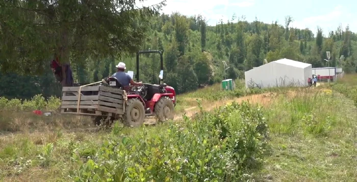 Munca este asigurată de angajați din zonă. FOTO CJ Argeș