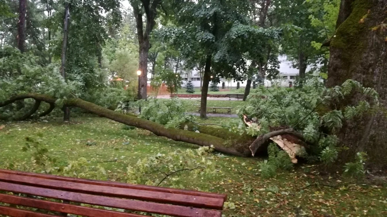 Furtuna a făcut ravagii duminică în Bistriţa-Năsăud. Populaţia n-a fost avertizată în niciun fel de vremea rea