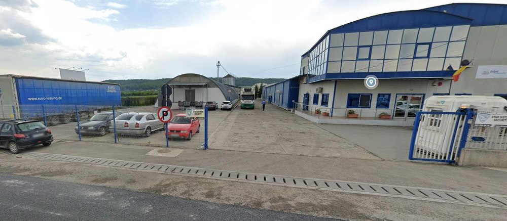 Cel mai mare exportator de nuci din România concediază zeci de oameni. Unde se află cele mai multe plantații