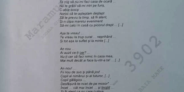 capacitate subiecte romana