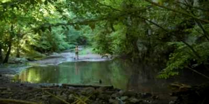 Oradea: Măsuri în urmă poluării de pe Sighiștel