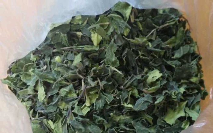 Drogurile au fost introduse în ţară în şapte colete pe care scria „frunze de ceai verde” FOTO ANAF