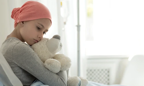 shutterstock 1193216932 jpg