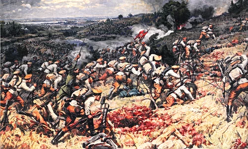 Turtucaia png