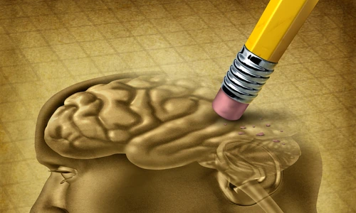 1 shutterstock 100688464 jpg jpeg