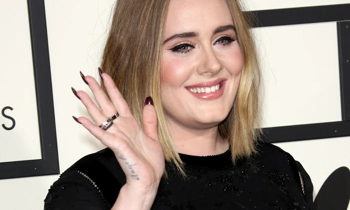 58th Annual Grammy Awards, Arrivals, Los Angeles, America 15 Feb 2016 jpeg