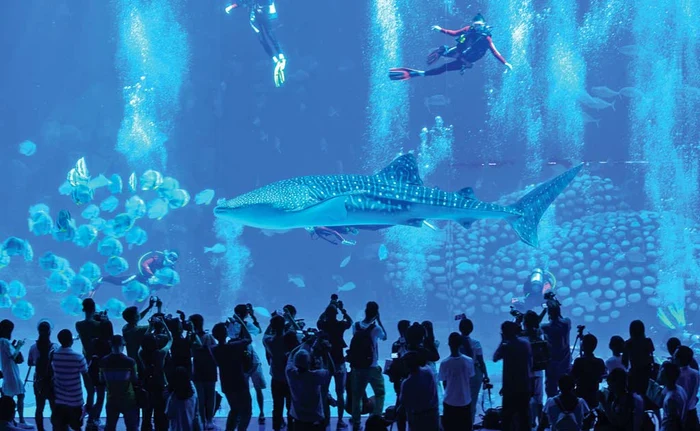 Chimelong Ocean Kingdom din Hengqin, Zhuhai, China