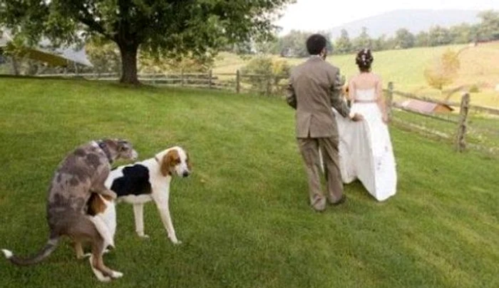 La care dintre cupluri te uiți mai întâi?