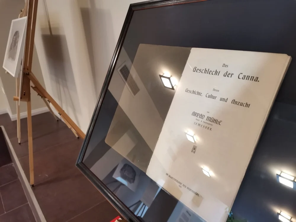 Cum arată în interior Casa Muhle din Timişoara