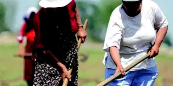 Pregăteşte angajaţii din mediul rural