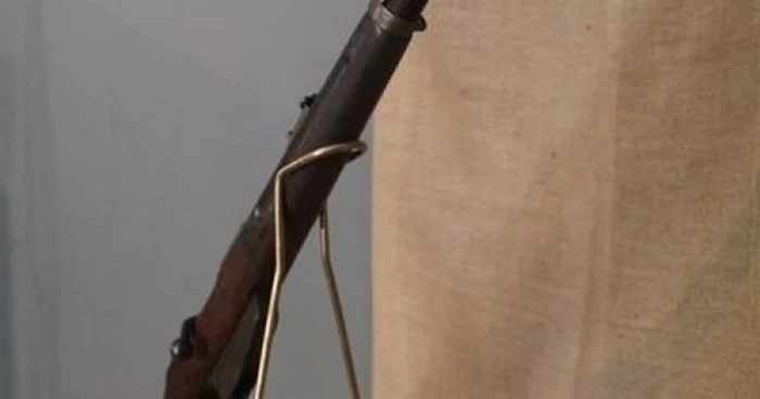 arma alba