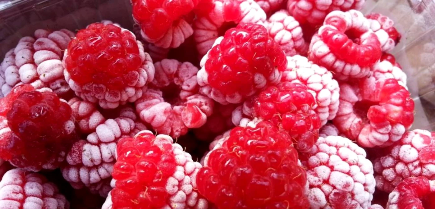 Fructele congelate