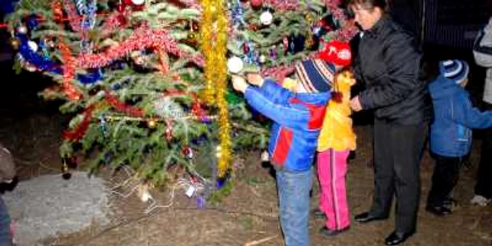 Locuitorii cartierului Recea au împodobit bradul de Crăciun
