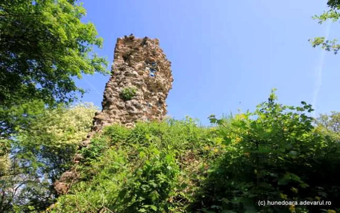 Ruinele cetății medievale a Hațegului. Foto: Daniel Guță. ADEVĂRUL