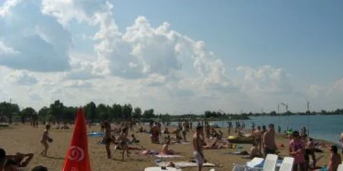 Satu Mare:Adevărul la Minut