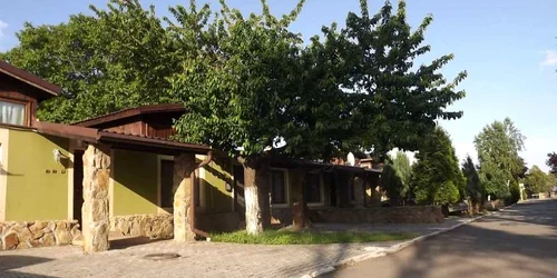 cartier verde